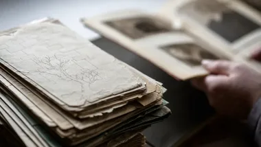 W Lublińcu seniorzy stworzyli drzewa, które opowiadają ich historie