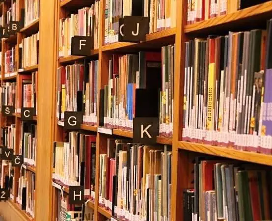 Kwiaty z bibuły wróciły do Lublińca — barwne warsztaty w bibliotece