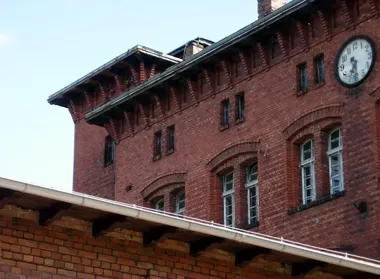 Nowe zasady szczepień psów – co muszą wiedzieć właściciele w Lublińcu