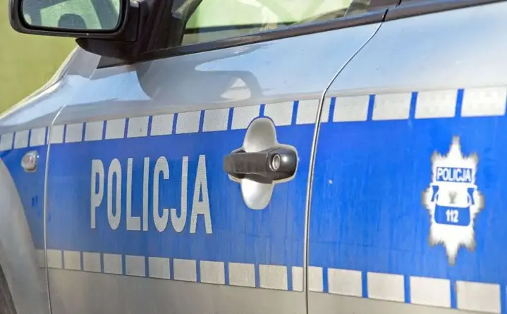 Kierowco z Lublińca zwolnij przy lasach - dziki i sarny coraz częściej na drogach