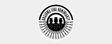 Papierowy protokół już nie wystarczy. Kontrolę komina trzeba wpisać do CEEB
