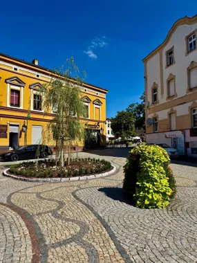 Rośliny zmieniają dwa place w Lublińcu. Na pełny efekt trzeba poczekać
