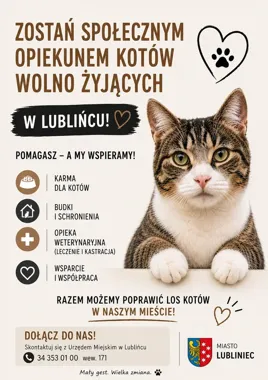 Lubliniec szuka opiekunów dla miejskich kotów. Miasto zapewni karmę i leczenie