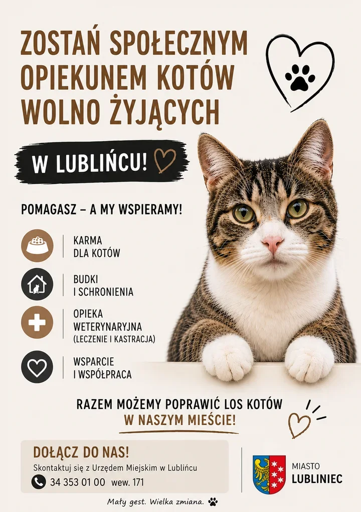 Lubliniec szuka opiekunów dla miejskich kotów. Miasto zapewni karmę i leczenie