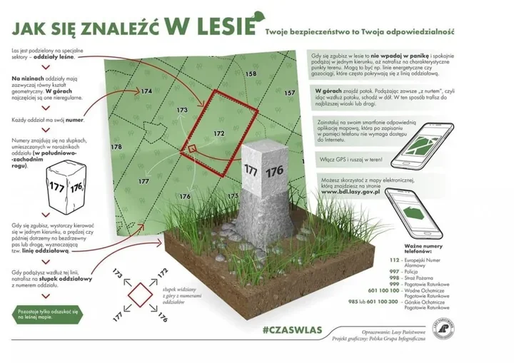 Grzybobranie w lasach Lublińca. Jeden błąd może uruchomić akcję służb