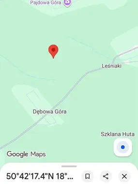 Czarny rower elektryczny znaleziony w lesie. Policja szuka właściciela