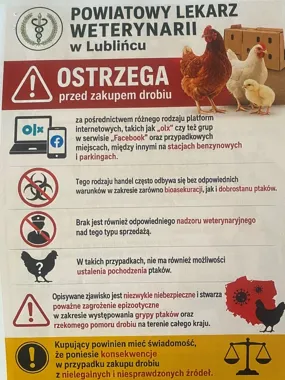 Drobiu z parkingu i internetu lepiej nie kupować - ryzyko rośnie