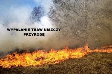 Sekundy od tragedii - wypalanie traw może przenieść pożar na domy