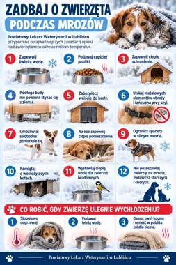 Niskie temperatury zagrażają zwierzętom. Weterynarz z Lublińca apeluje